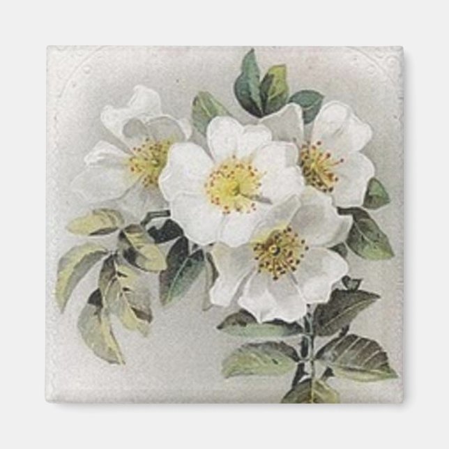 Magnet vintage de fleurs Apple (Devant)