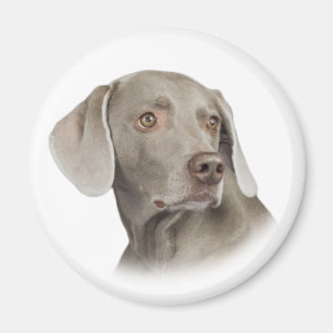 Magnet Weimaraner