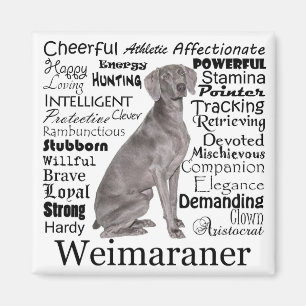 Magnet Weimaraner