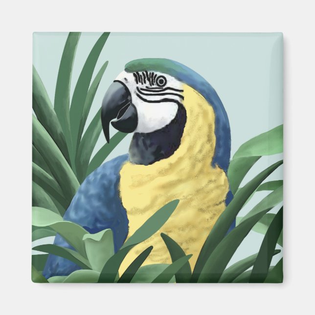 Magnets Blue Macaw (Devant)