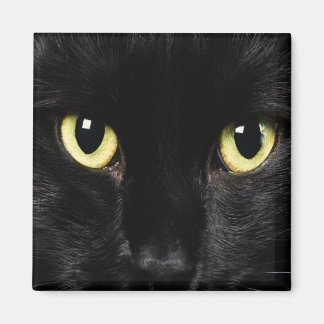 MAGNETS de casier à CAT NOIR, Réfrigérateur