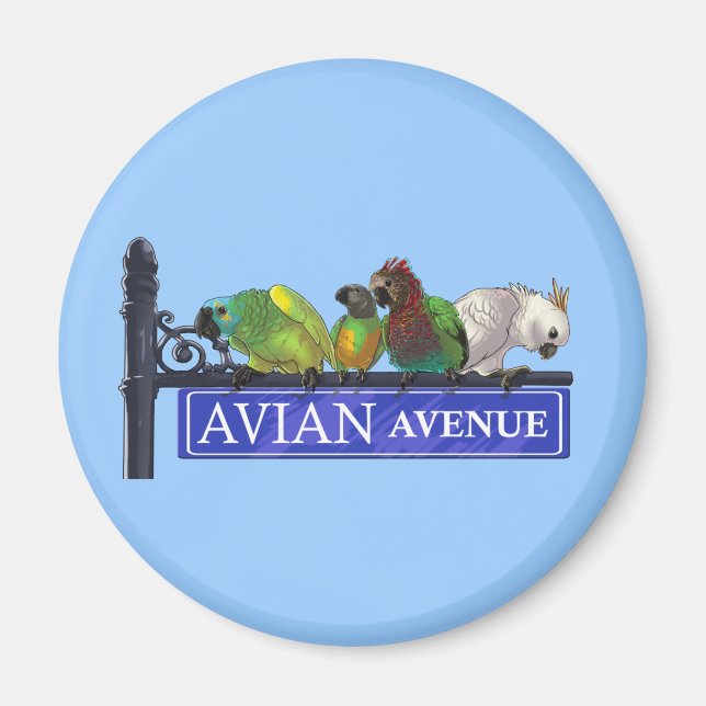 Magnets de l'avenue Avian (Devant)