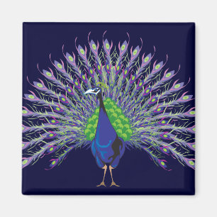 Magnets de Peacock