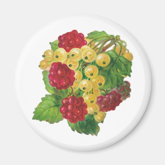Magnets de raisins et de baies (Devant)