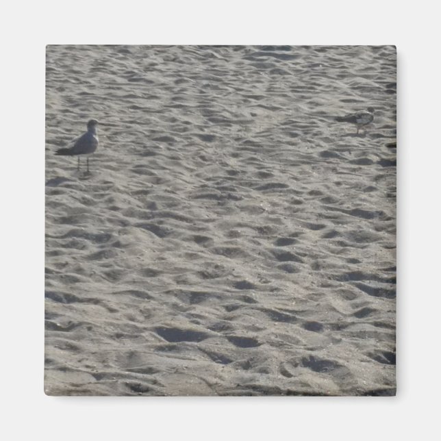 Magnets de Seagull (Devant)