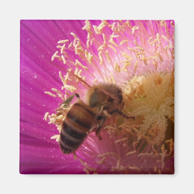 Magnets des abeilles (Devant)
