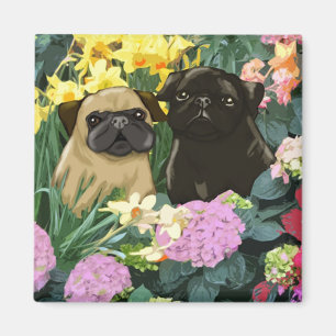 Magnets des Carlins de printemps