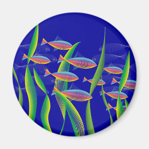 Magnets du fond de la mer