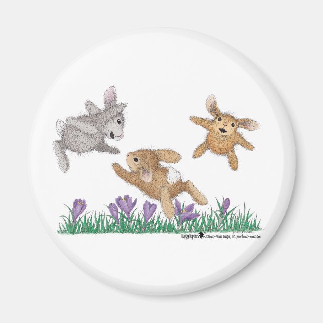 Magnets HappyHoppers® (Devant)