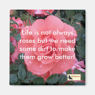 Magnets inspirants - Continuez à bouger