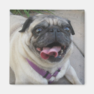 Magnets photo personnalisés