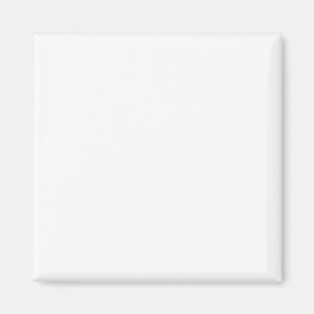 Magnets Simple Authority® (Devant)