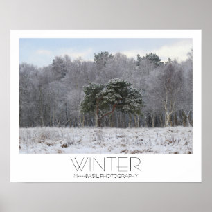 Magnifique affiche d'hiver !