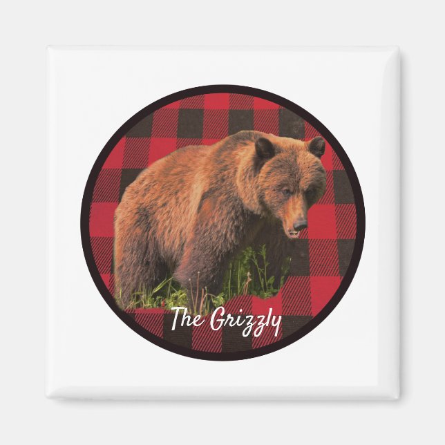 Magnifique aimant à carreaux de buffle d'ours griz (Devant)