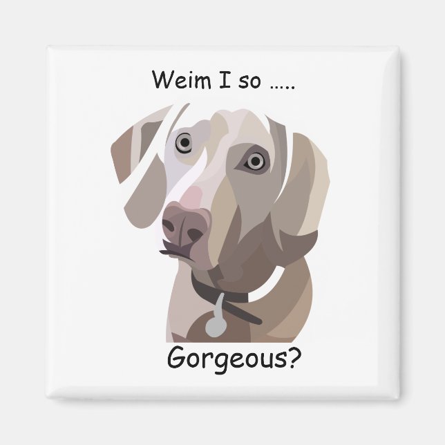 Magnifique aimant Weimaraner (Devant)