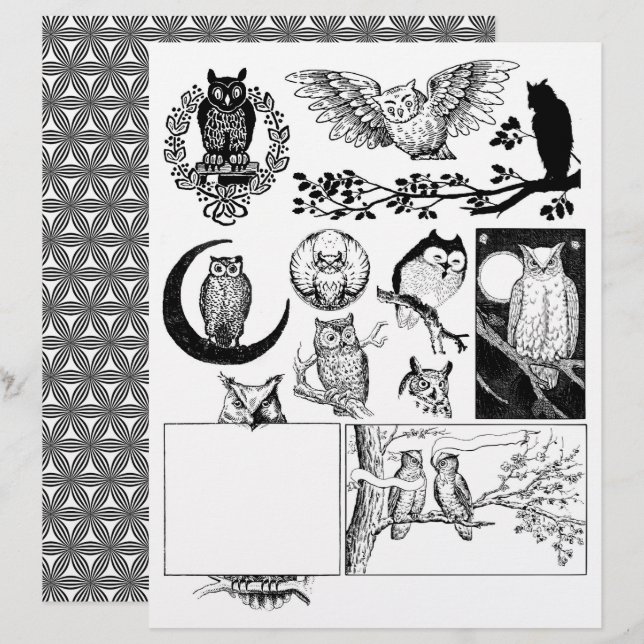 Magnifique Black & White Line Dessins d'art de Cho (Devant / Derrière)