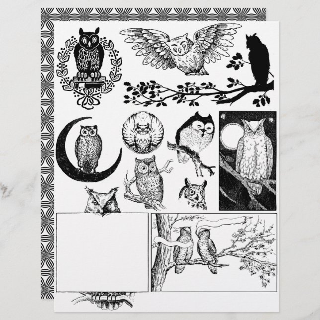 Magnifique Black & White Line Dessins d'art de Cho (Devant / Derrière)