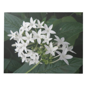 Magnifique Bloc-notes aux fleurs tropicales blanch