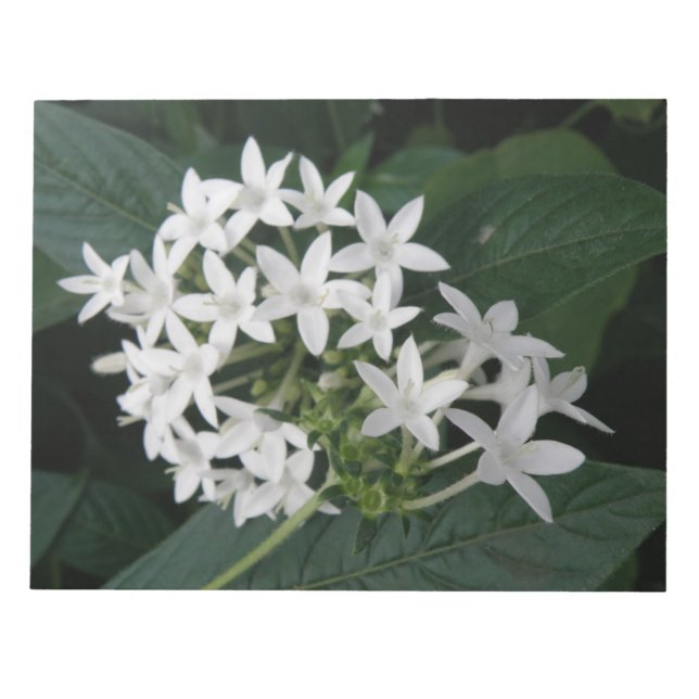 Magnifique Bloc-notes aux fleurs tropicales blanch (Devant)