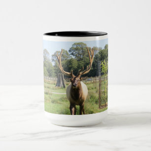 Magnifique Bull Elk Photo sur mug combo 15oz