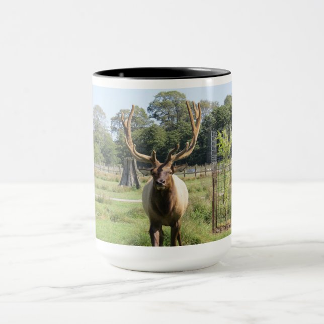 Magnifique Bull Elk Photo sur mug combo 15oz (Centre)