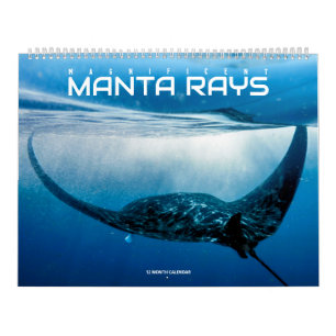 Magnifique calendrier des rayons Manta