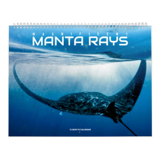 Magnifique calendrier des rayons Manta