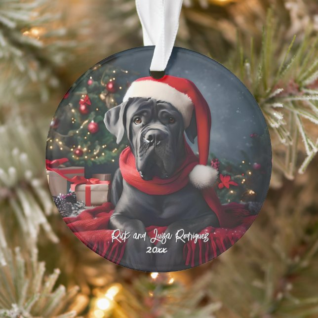 Magnifique Cane Corso avec chapeau de Père Noël (Arbre)
