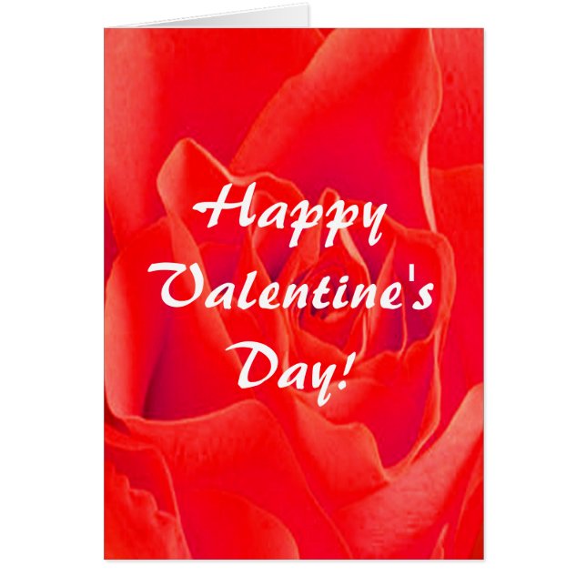 Magnifique carte Red Rose Valentine Plain III (Devant)