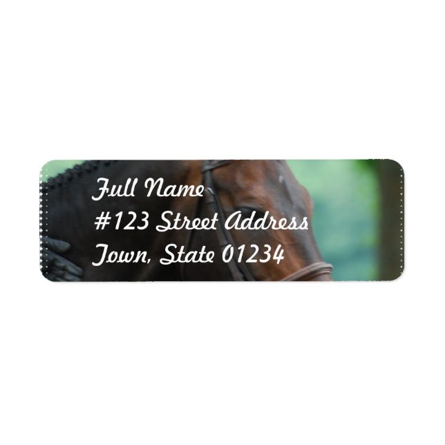 Magnifique Cheval Warmblood Étiquettes de messager (Devant)