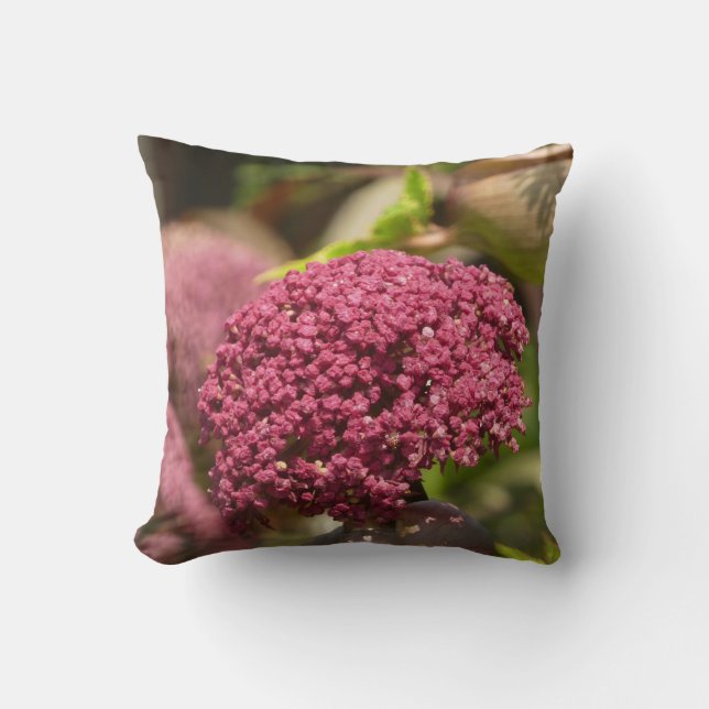 Magnifique Coussin de Jeté de Fleur d'Angélique (Recto)