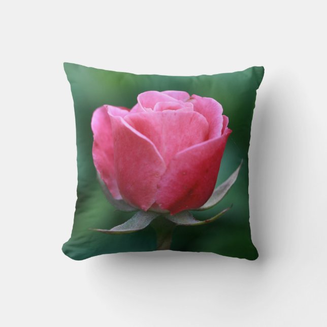Magnifique Coussin de Jeté de Rose Rouge Pâle / Ro (Recto)