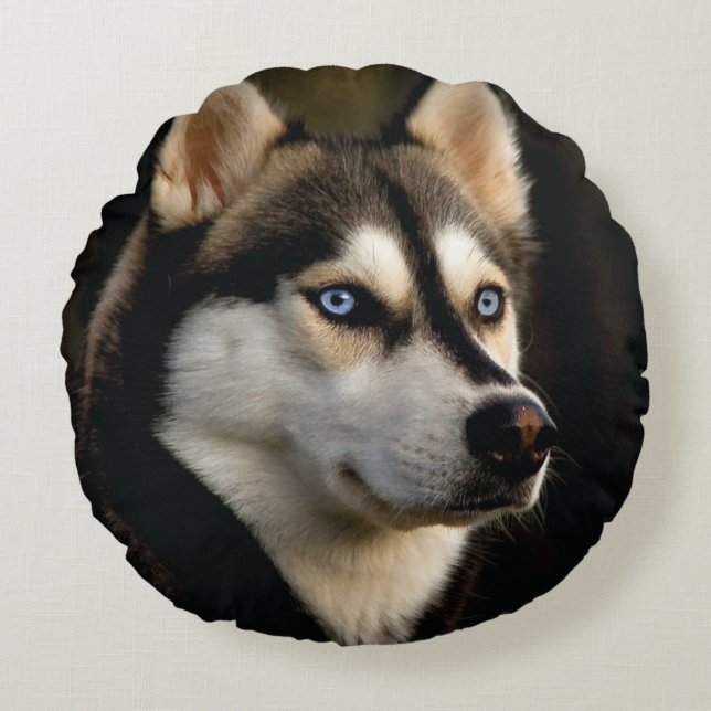 Magnifique Coussin de Lancement Husky (Devant)