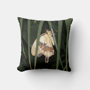 Magnifique Coussin Moth