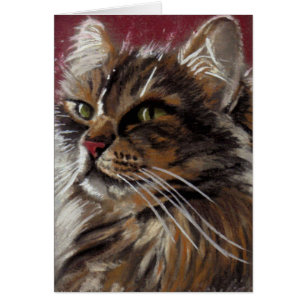Magnifique Dreamer - Maine Coon Cat Card