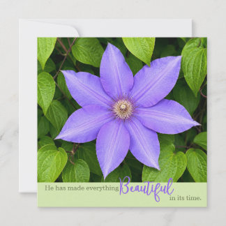 Magnifique en son temps | Clématite violette