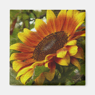 Magnifique Magnet Fleur de Tournesol Jaune et Oran