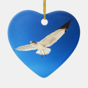 Magnifique Mouette Seagull Ornements de plage