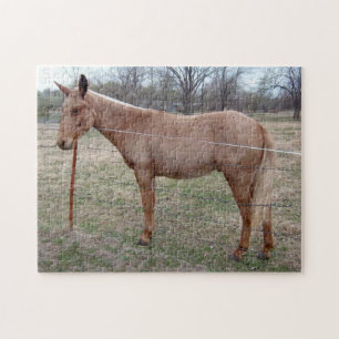 Magnifique Mule ! Puzzle
