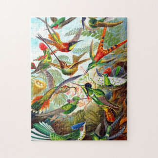 Magnifique oiseau Vintage Imprimer Puzzle d'oiseau