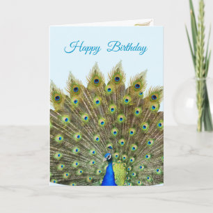 Magnifique paon sur carte d'anniversaire bleu clai