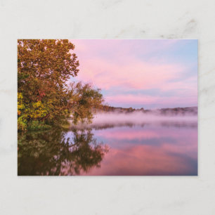Magnifiquement Pink Morning Carte postale