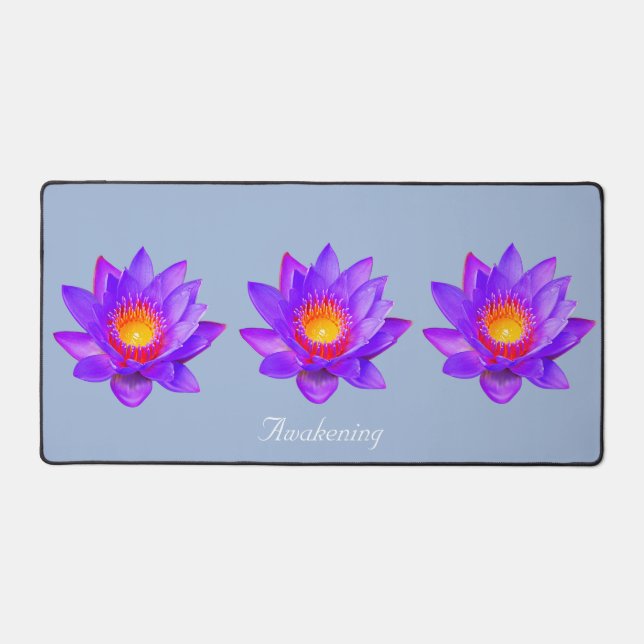 Magnifiques fleurs de lotus sur fond bleu clair (Recto)