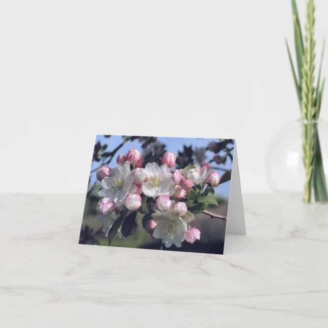 Magnifiques fleurs de photographie de fleurs Bloss (Devant)