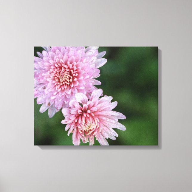 Magnifiques fleurs roses sur toile tendue (Recto)