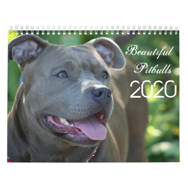 Magnifiques Pitbulls 2020 Calendrier des Chiens (Protection)