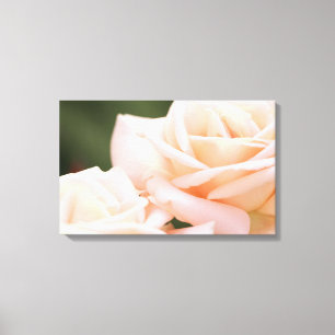 Magnifiques roses beige sur toile tendue