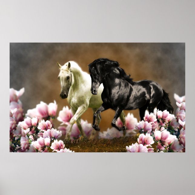 Magnolia Alley - Poster (Devant)