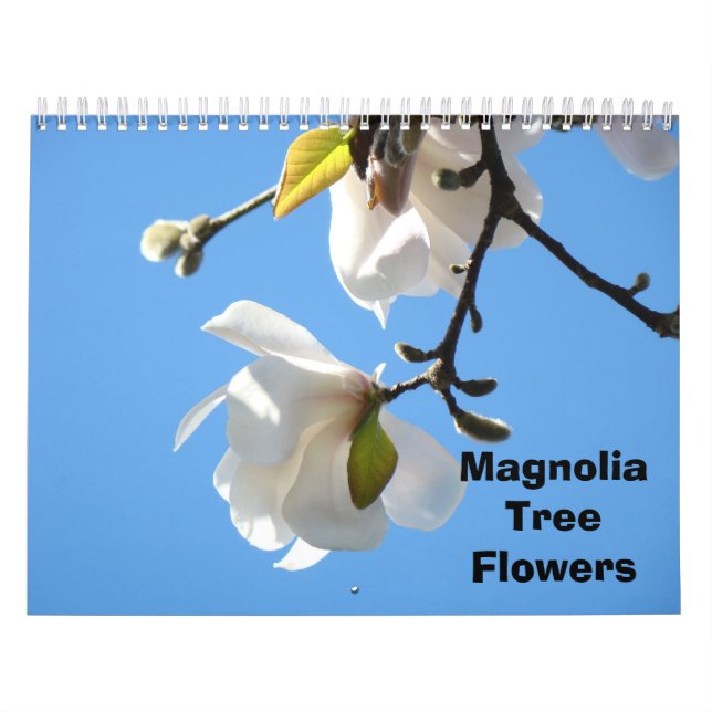 Magnolia Arbre Fleurs Calendriers de photographie (Protection)