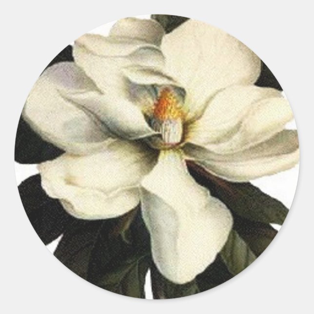 Magnolia - Autocollant (Devant)